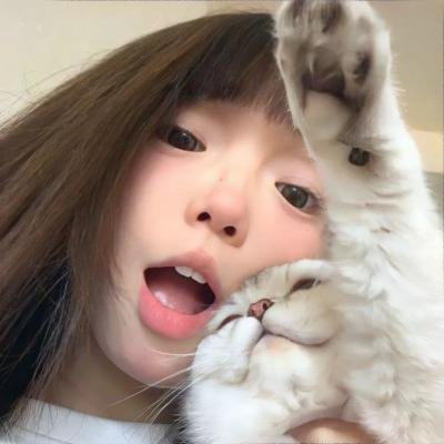 哈林四女子第二季